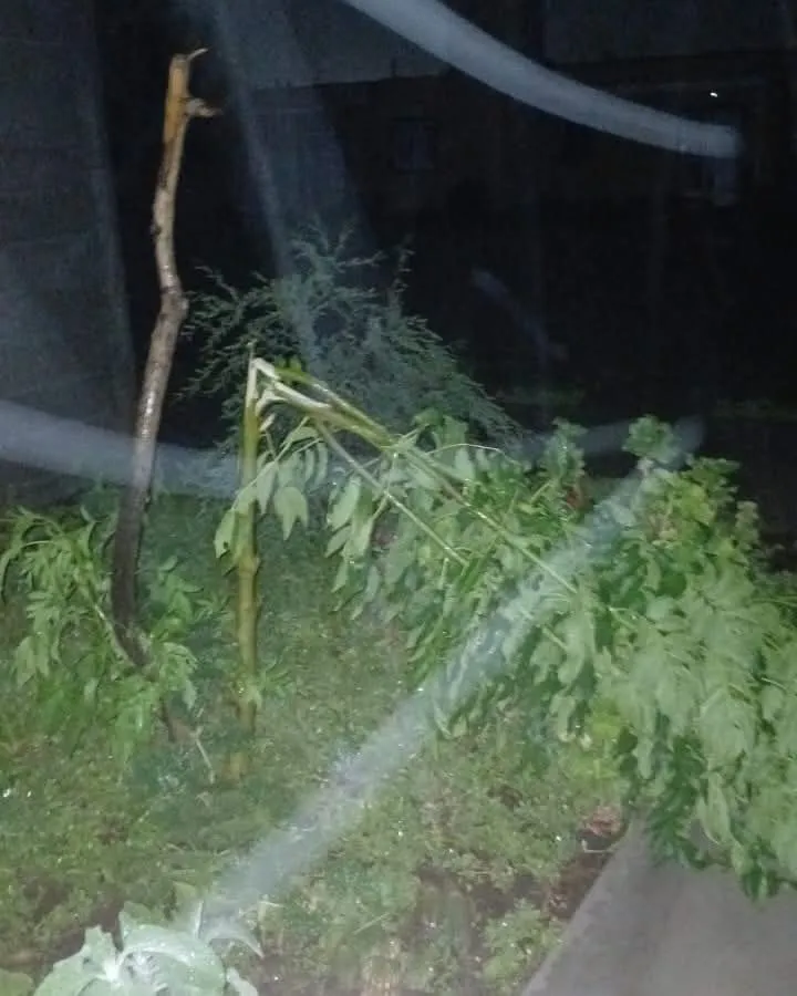 FB_IMG_1740900458499