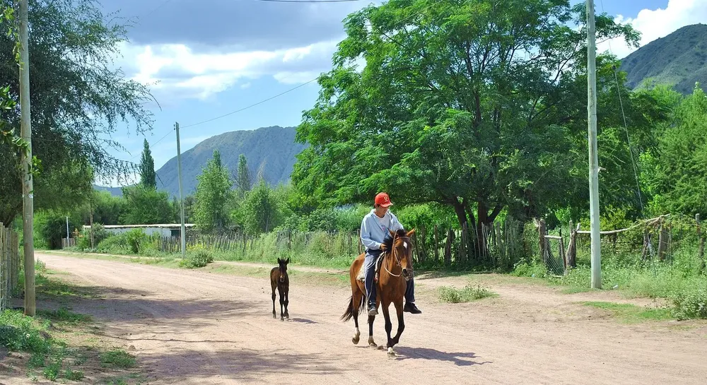 Valle_Fertil_San-Juan_6858