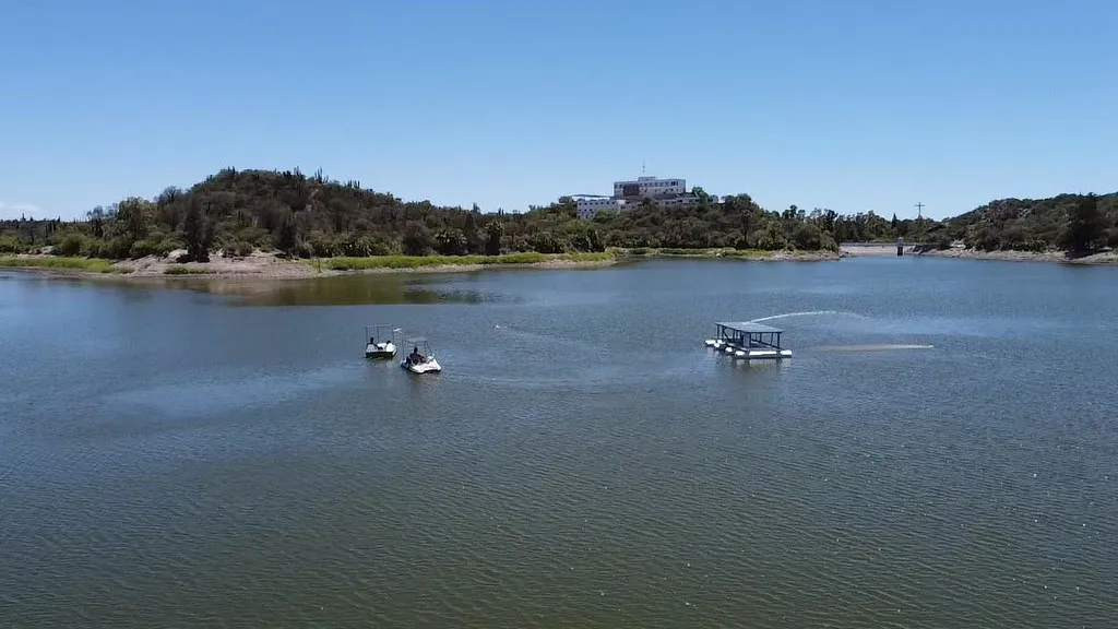 54217043035_c4ed78a1e0_b