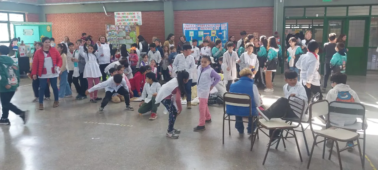 c732c439-8cf2-4a78-9169-00b2ba4a503c