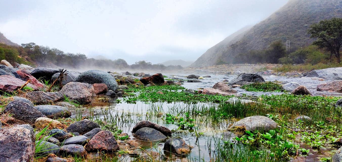 201932698_10159992919400572_6071724845407378703_n