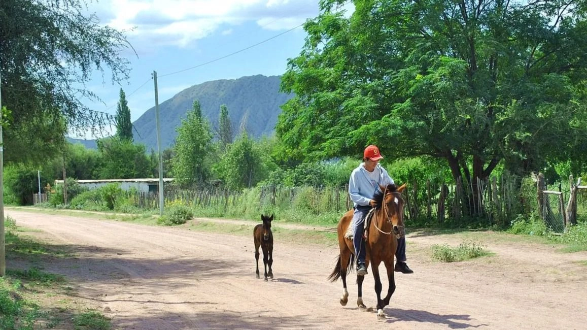 multimedia-grande-9bf320eb6c573f54-vmfsbgvfrmvydglsx1nhbi1kdwfuxzy4nthfz3jhbmrllndlyna-webp.