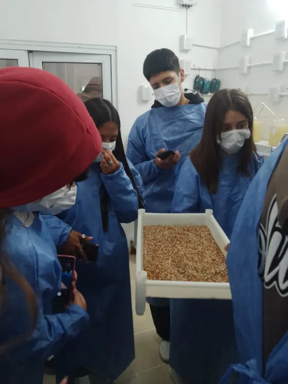 555562310_1296909448892298_3896542789458237486_n