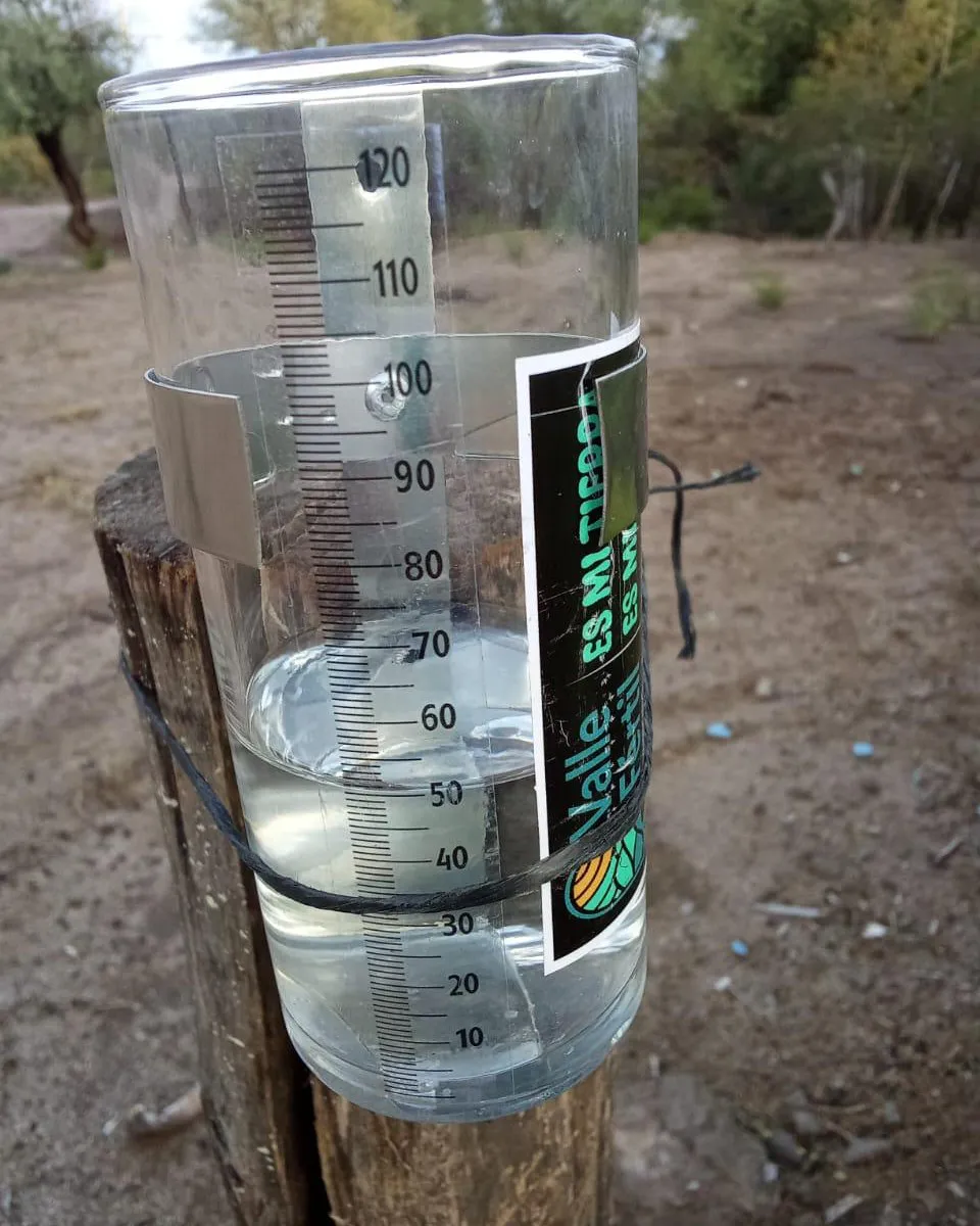 473732573_1028454162642873_2528087179795260752_n