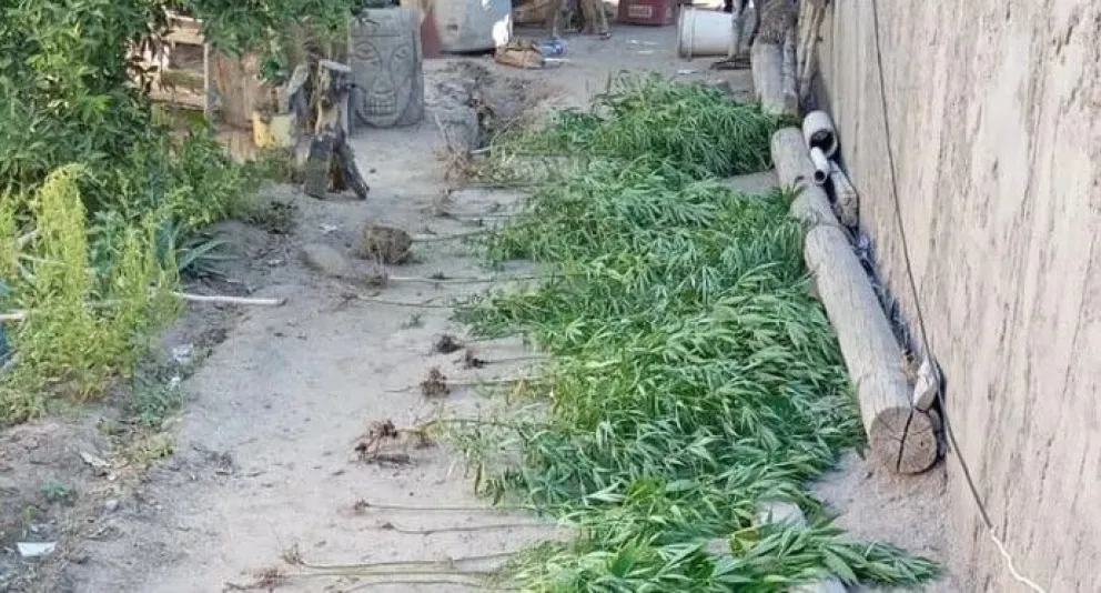 md - 2026-01-13T112310.218