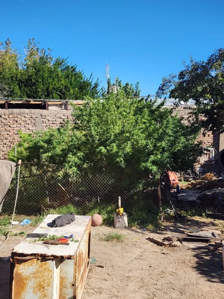 md - 2026-04-10T101141.452