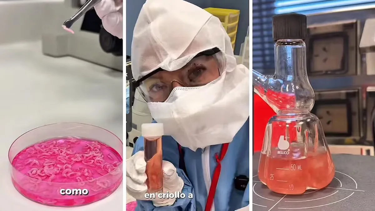 image - 2025-12-14T144740.811