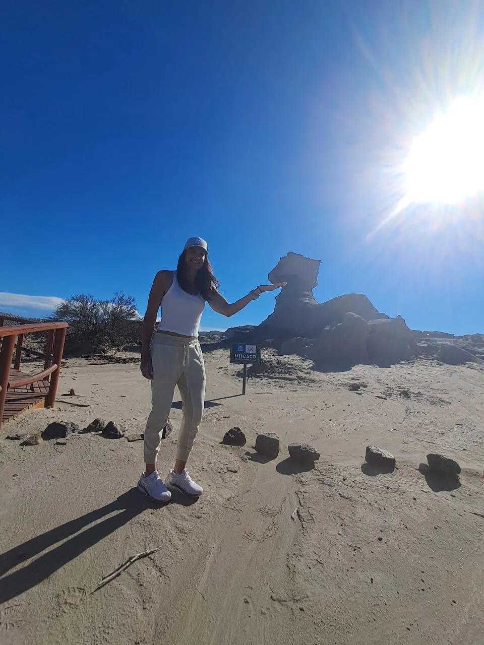 20abf529-01fb-4aa9-bd7f-cde7080b9f4e