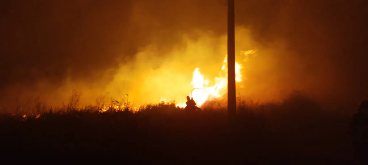 8d09a80c-f1ae-45c5-aa61-290921c82a8e