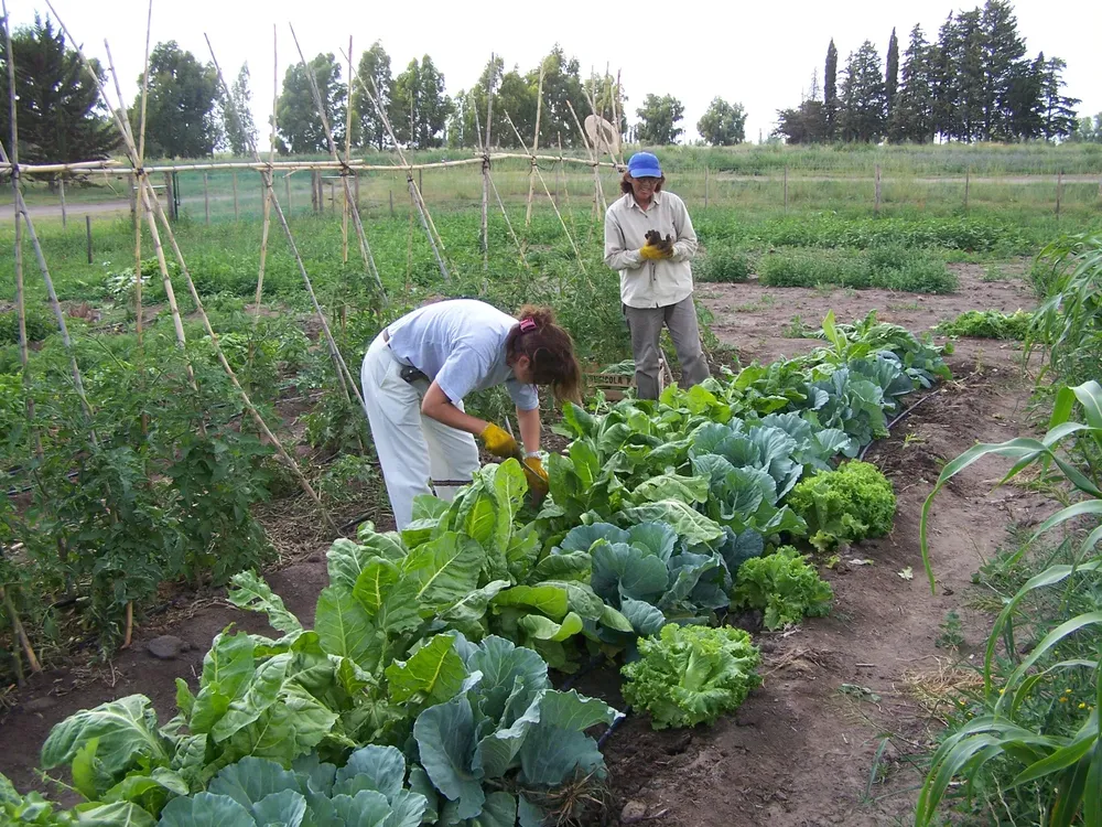 multimedia.normal.b53c5719b1d83500.bm9ybWFsLndlYnA=