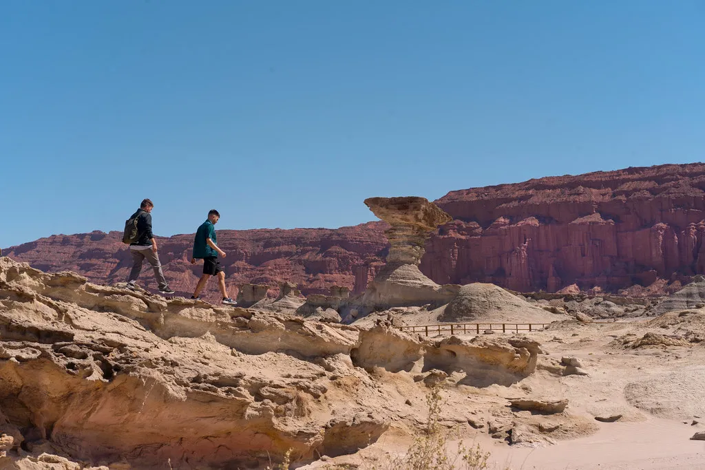 53441659475_e9c6855beb_b