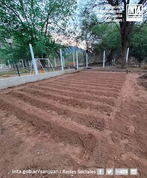 FB_IMG_1728491585974