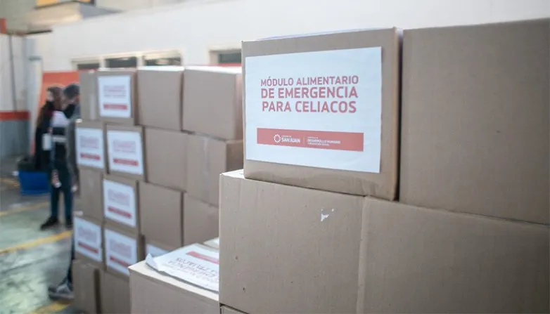 6029202ab1943ec90d06d126b1555853_L