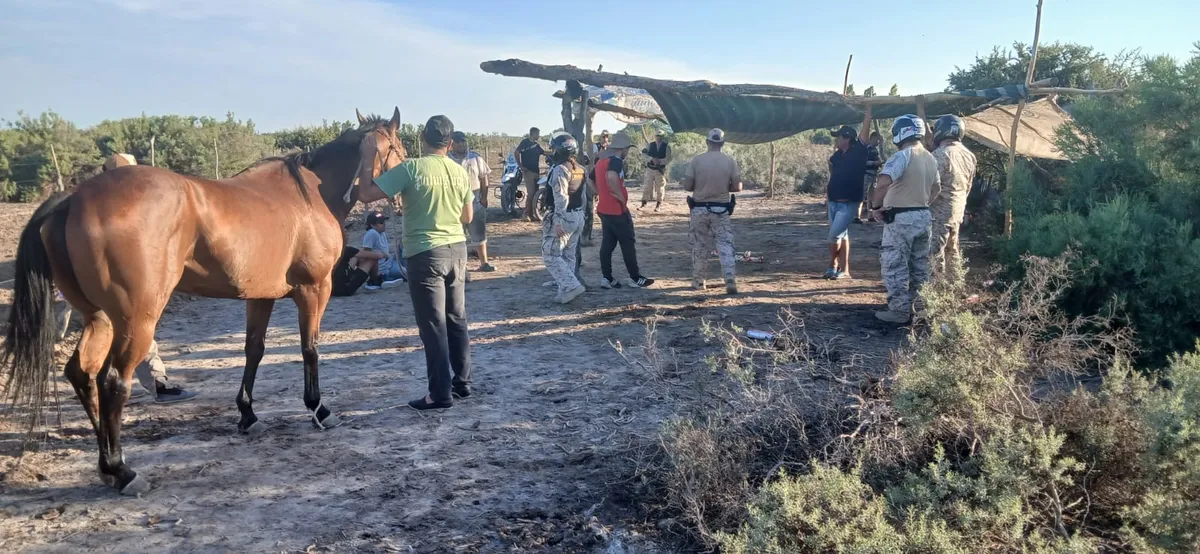 whatsapp-image-2026-01-11-at-130700