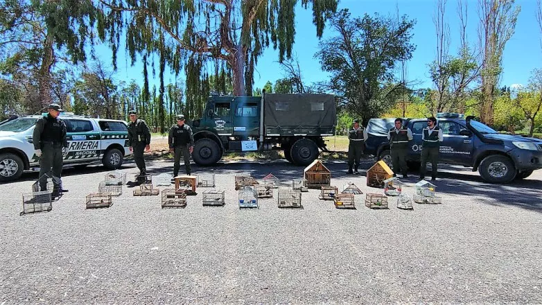 96c4a8cef40ababc34a2d62e35f80768_L