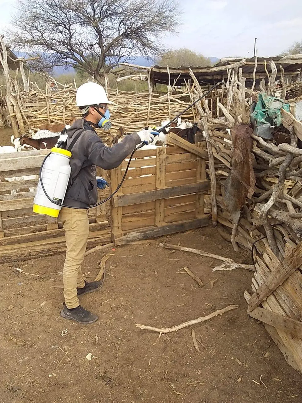 549337957_1216986817122939_1083488971208342087_n