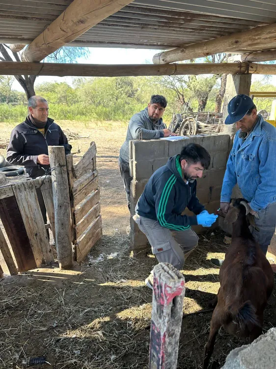 502711029_1126493796172242_5317974502597089382_n