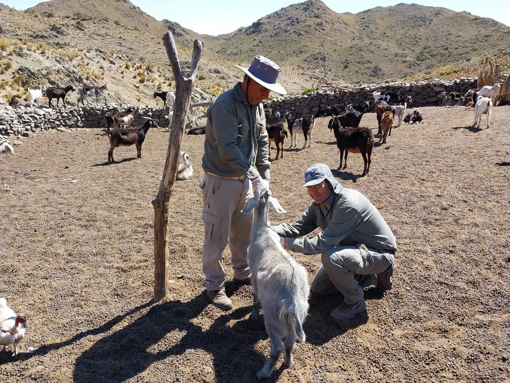 410571399_762425969245695_3192058802898649076_n