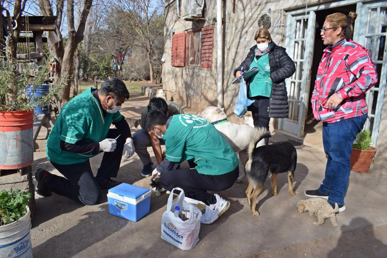 multimedia.normal.9575bde0bafa0fde.494d472d32303231303832372d5741303035355f6e6f726d616c2e6a7067