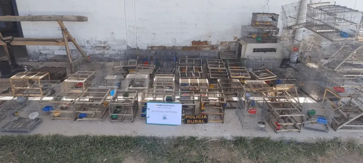 image - 2025-12-17T123034.207