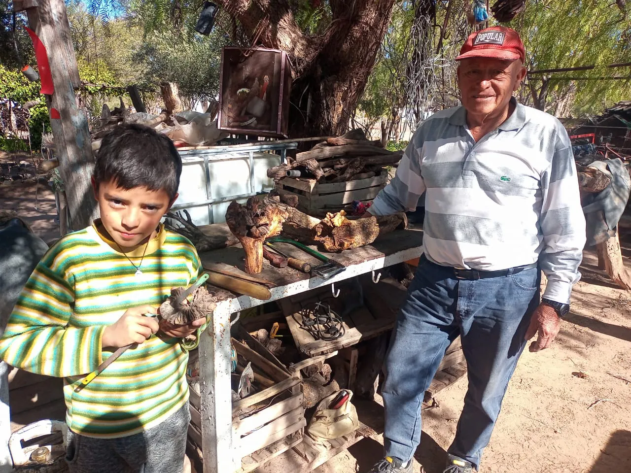 cadc133d-e271-4876-b763-abc736a94796