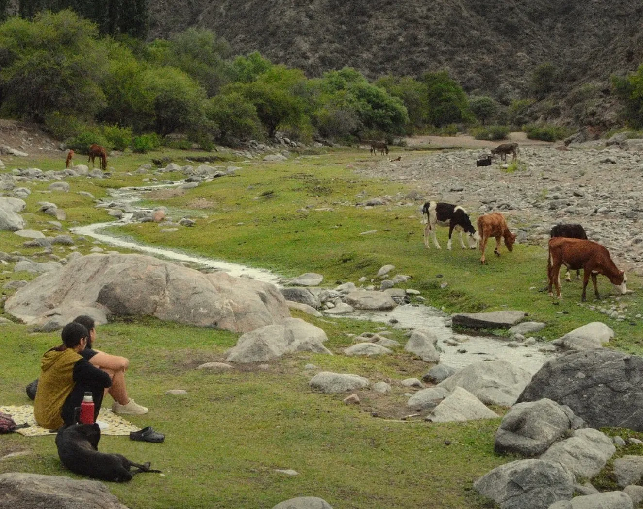 523506736_18065978891516439_5568053300477713658_n