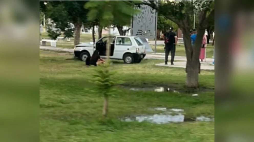 md - 2026-01-16T161335.245