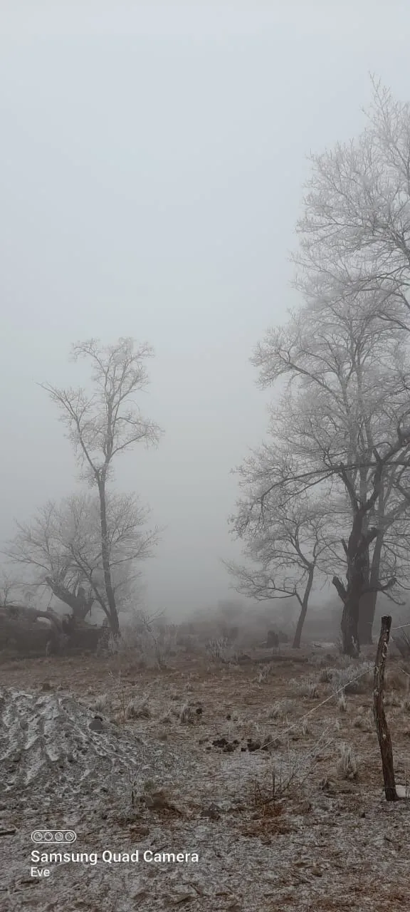 1fadc4a7-cc36-4af4-93fa-69badc9758a9