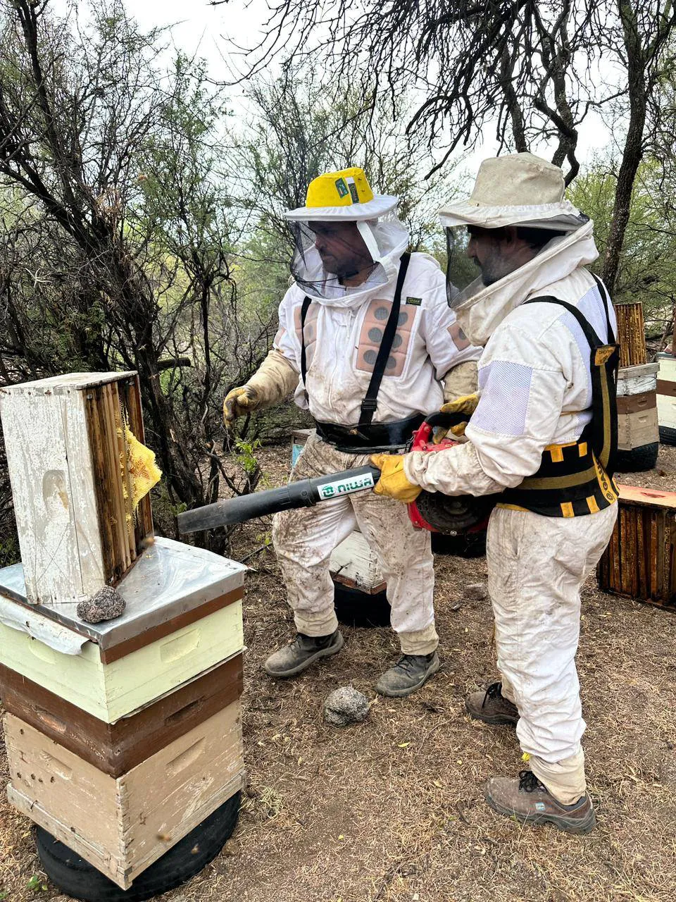 474102164_1026980522790237_7772482105358535802_n