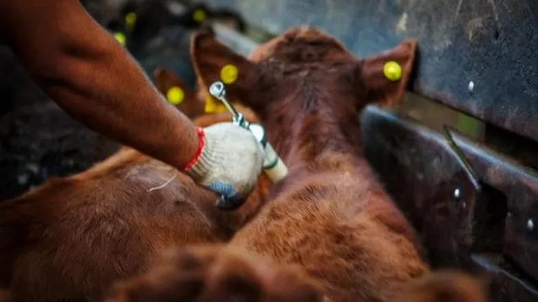 240d8d04ab652fb6235267fa82c66691_L