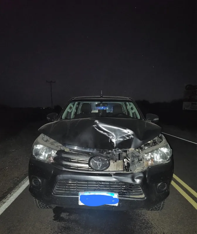 fac8f901c024900790303ade134a77b3_L