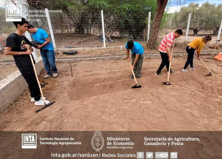 FB_IMG_1728491589065