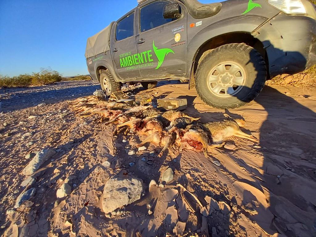 51277455518_8054c56707_b