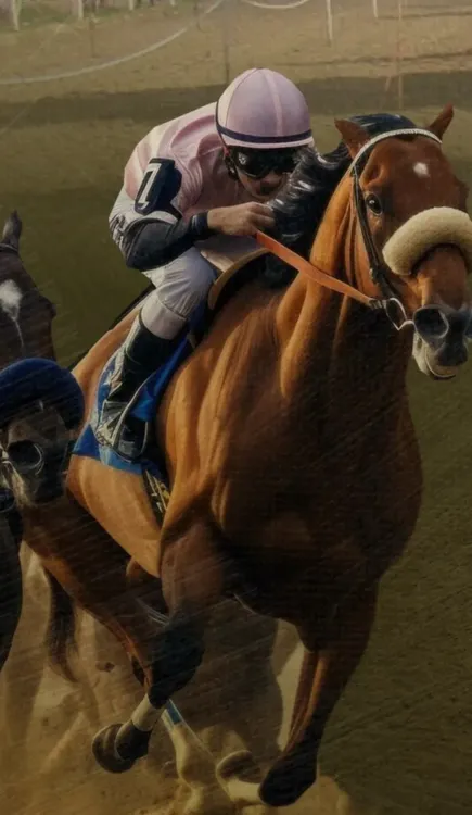 3e7e7e53-5199-49a8-b5ea-b808fe9be77b