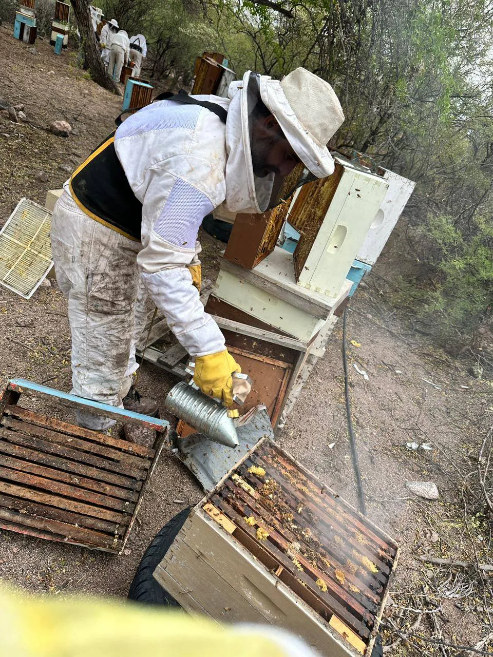 474551445_1026980609456895_3766726040023121252_n