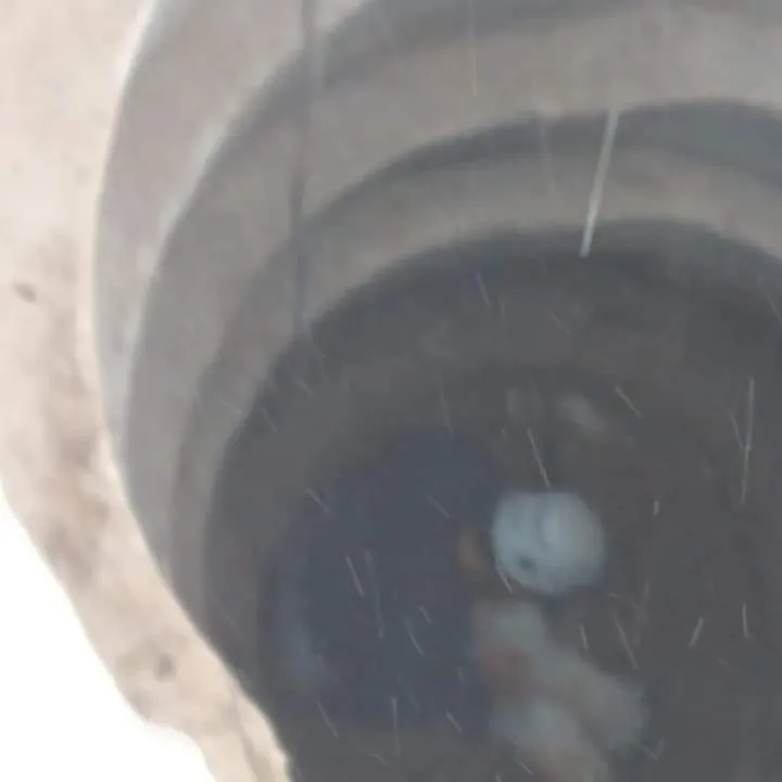 FB_IMG_1732030469088