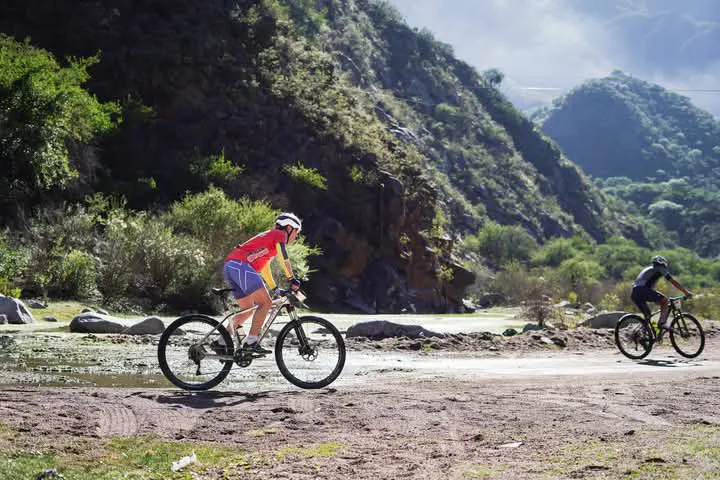 FB_IMG_1733139362452