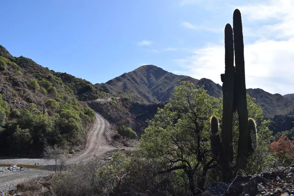 298784804_442145771273718_782708220318791659_n