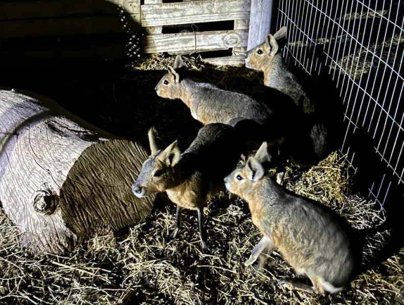 358590w790h596c.jpg (1)