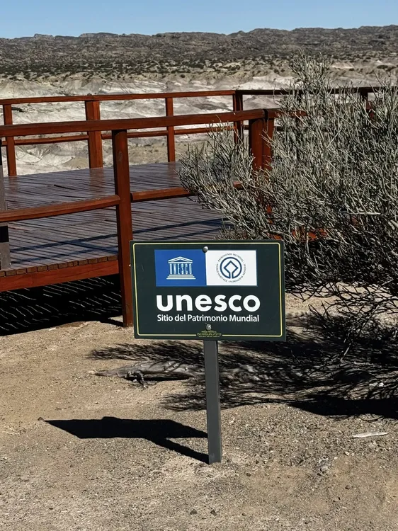 656931495_10240400555781009_8614989375190249521_n