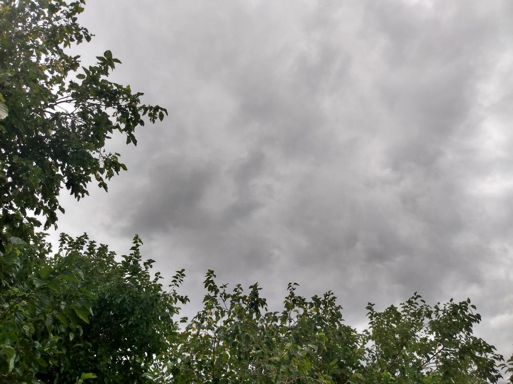 IMG_20200206_161840810_HDR