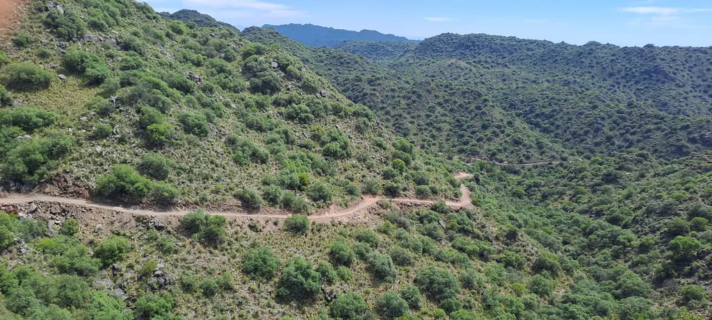 53726606782_055fc2aef8_b