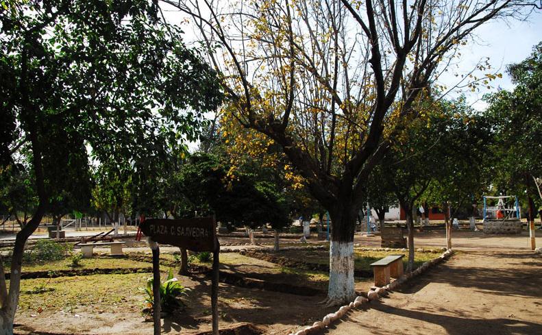 foto_10013_3