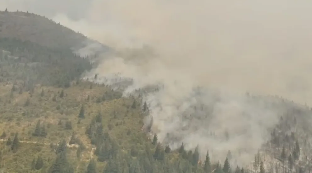 md - 2026-01-11T205600.997