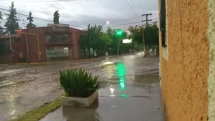 FB_IMG_1734998393751