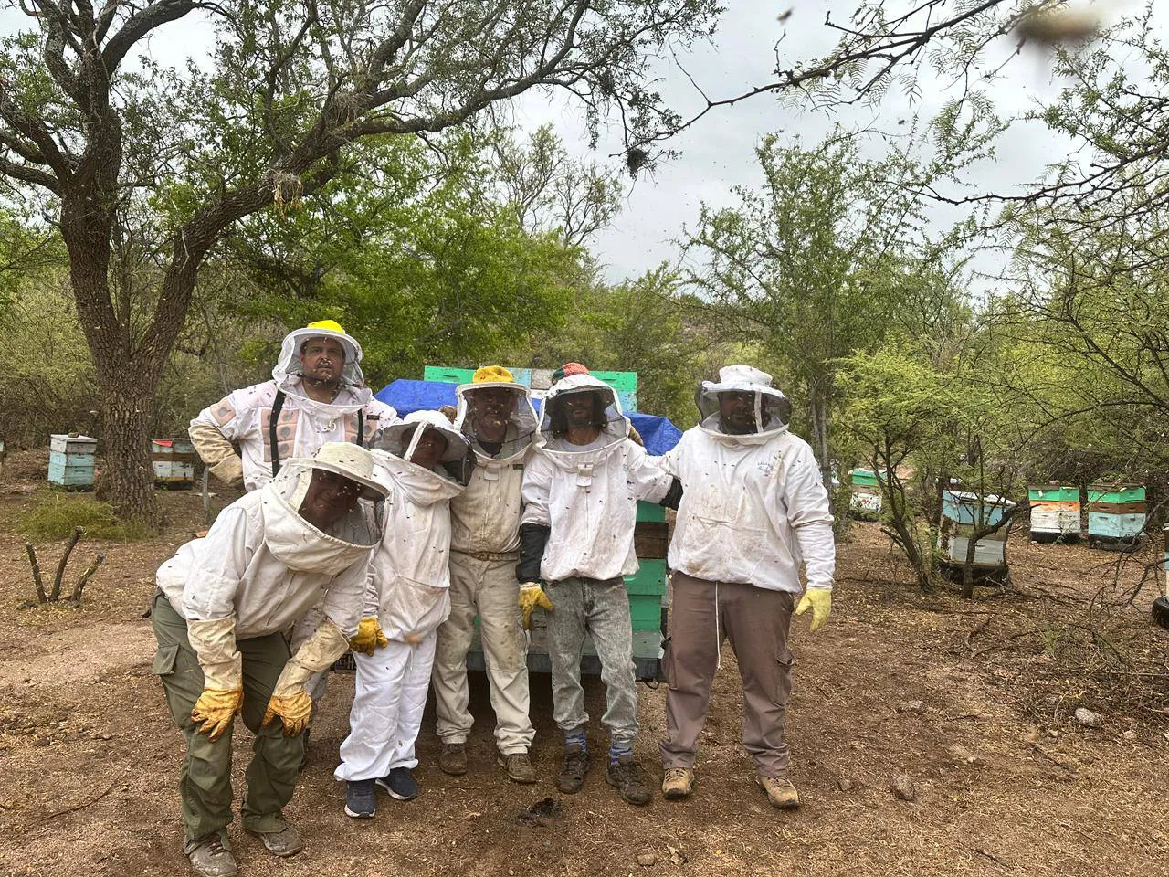 474039554_1026980562790233_9107315946312641907_n