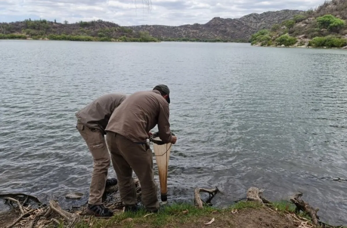 dique-valle-fertil-monitoreojpg