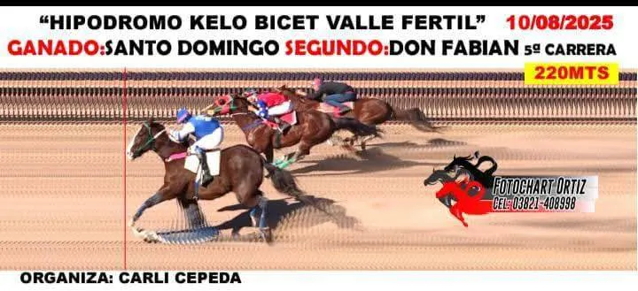 532462459_796507676226731_4768462303990654332_n