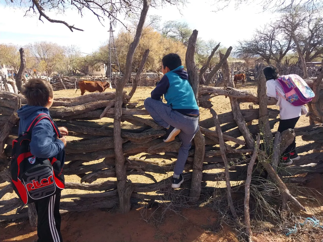 c07938be-6fa2-475c-9c0d-3107f452eb62