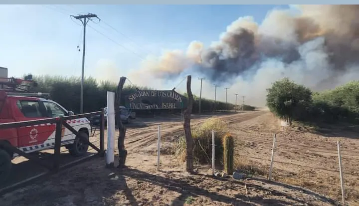 Screenshot_20240920-222212~2